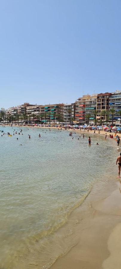 Calle Maestro Parada Torrevieja Eksteriør bilde